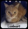 Lionheart 6.8.12