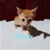 Sunny (KGC) 6.18.19