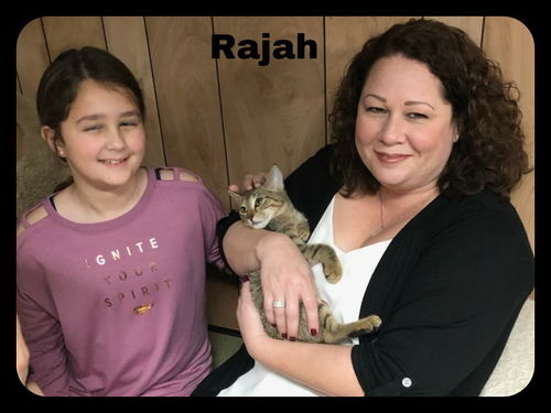 Rajah (DC) 9.3.19