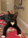 Oakley & Buckley (SLK/JG) 6.30.2020