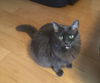 Kitty (BS) 10.8.09