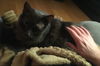 Kitty (BS) 10.8.09