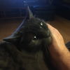 Kitty (BS) 10.8.09