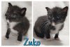 Zuko & Azula (DC) 3.25.21