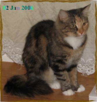 Mindy