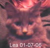 Lea 10.9.05