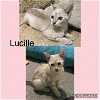 Lucille (IL) 3.15.21