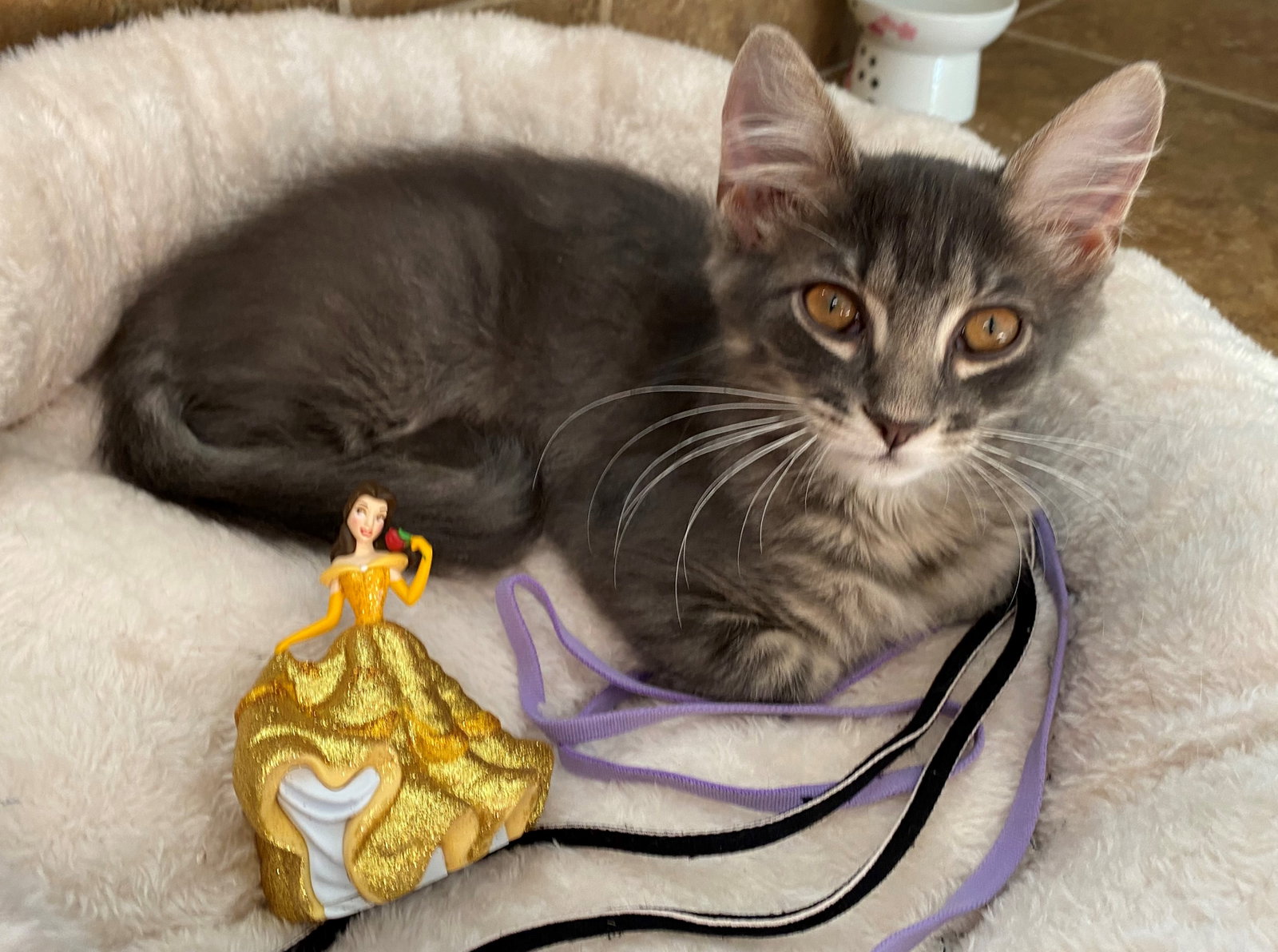 Anise & Zelda (JV) 9.10.21's Web Page