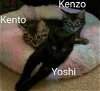 Kenzo & Kento 12.1.21