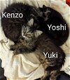 Kenzo & Kento 12.1.21