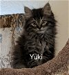 Yuki & Yoshi 12.1.21