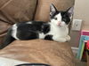 Benji 3.25.22