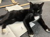 Tux (KS) 3.25.17