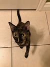 Evie 6.24.21