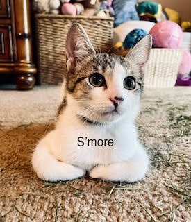 S'more 10.3.22