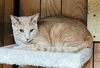Rolly 07.19.22