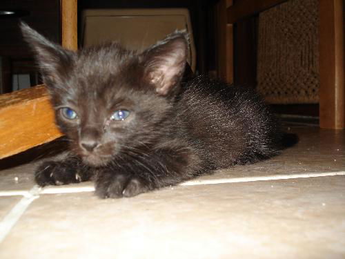 Etta