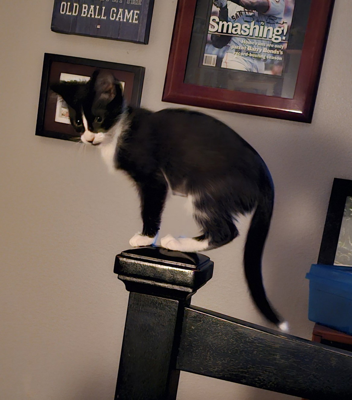 Luna 11.22.23, photo 3