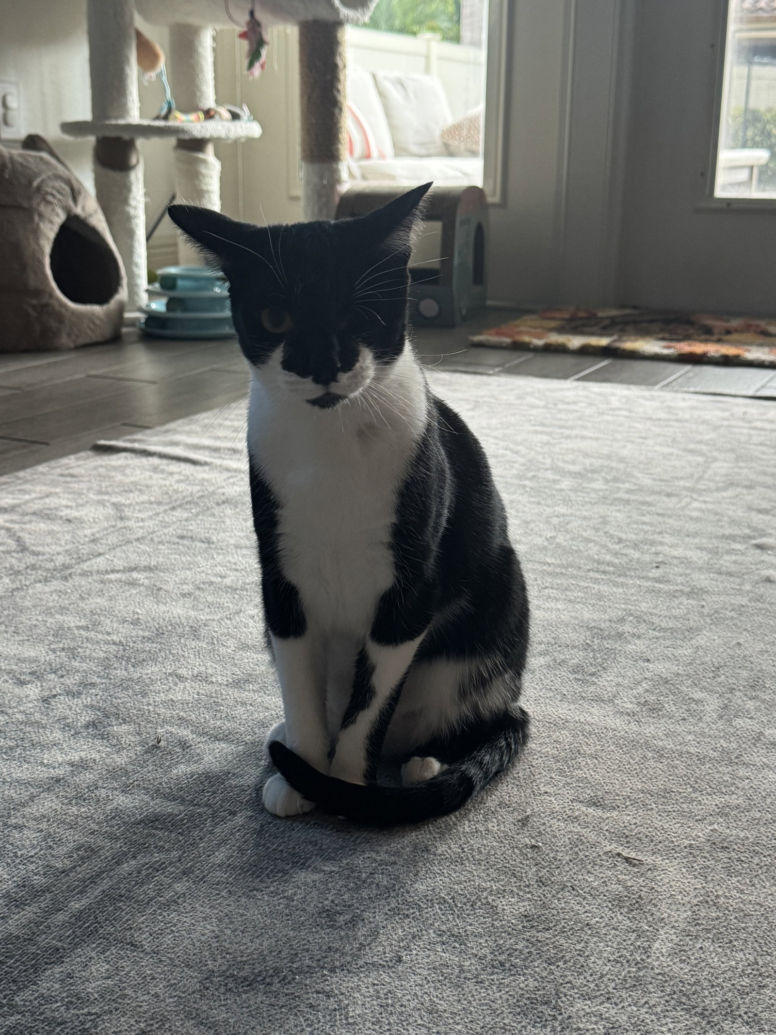 Duchess 3.15.24
