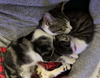 Mel 9.1.24 & Boo 9.21.24