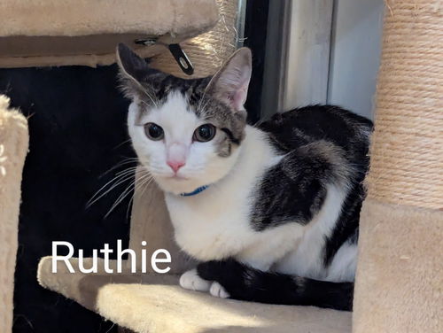 Ruthie 8.15.24