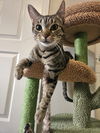 Katy Purry 2.11.24