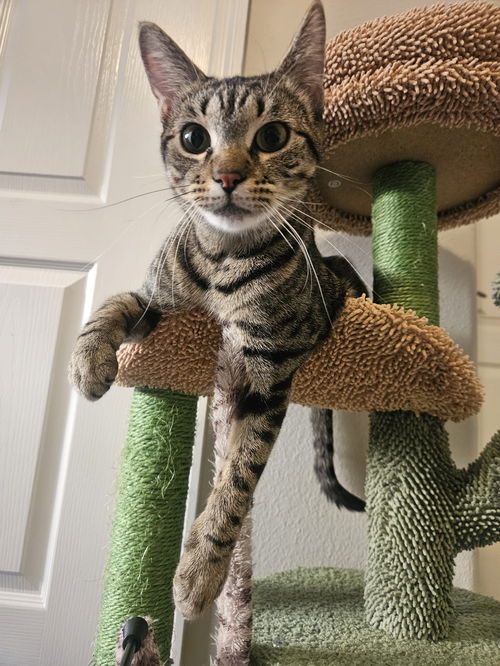 Katy Purry 2.11.24