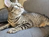 Katy Purry 2.11.24