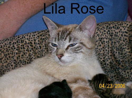 Lila Rose