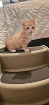 Garfield 3.29.25