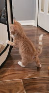 Garfield 3.29.25