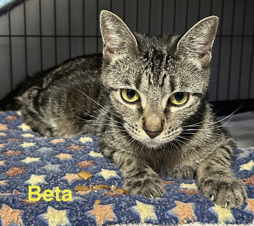 Beta 5.12.22