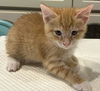 Marmaduke 3.15.25