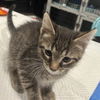 Mugsy 3.15.25