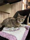 Lionel 3.26.25 & Windy 4.23.25