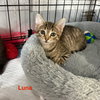 Luna 7.13.25