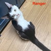 Ranger 7.14.25