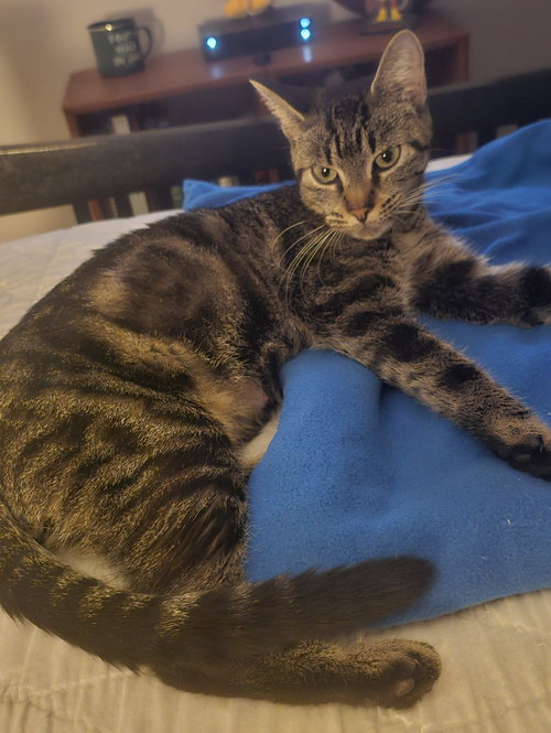 Miko 9.3.24
