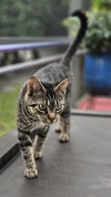Miko 9.3.24