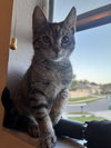 Consuela 9.1.25