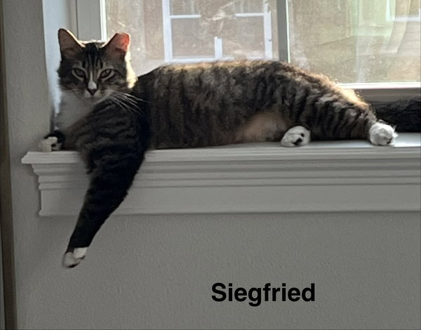 Siegfried & Roy 1.1.25