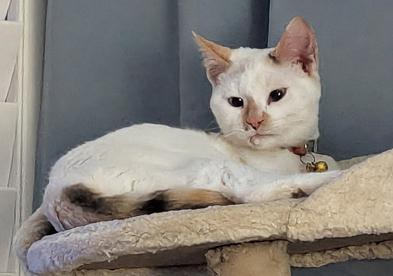 Sophie 6.18.24