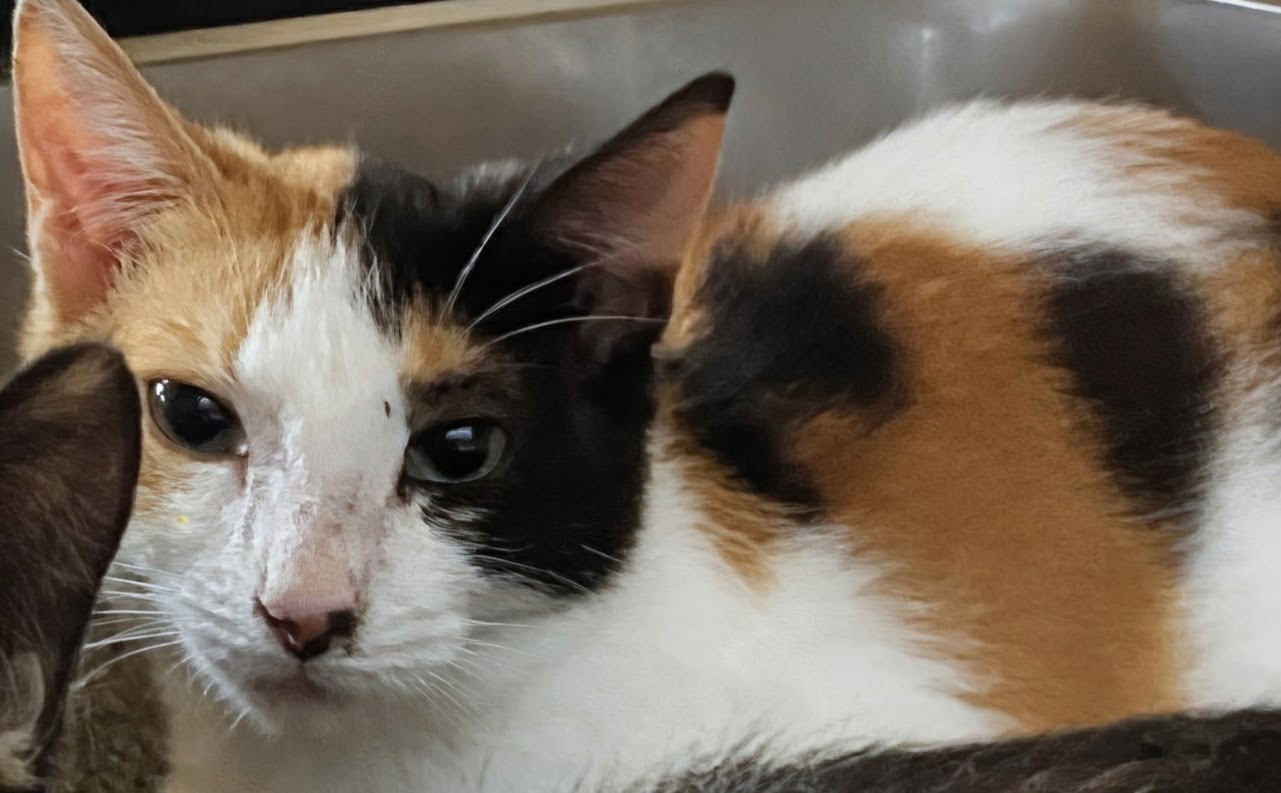 Libby 10.10.25
