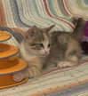 Yelena 2.28.26