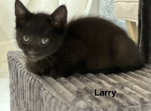 Larry 3.22.26