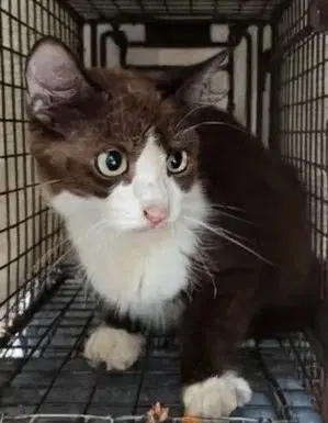 Suki  Med Waiver image 1