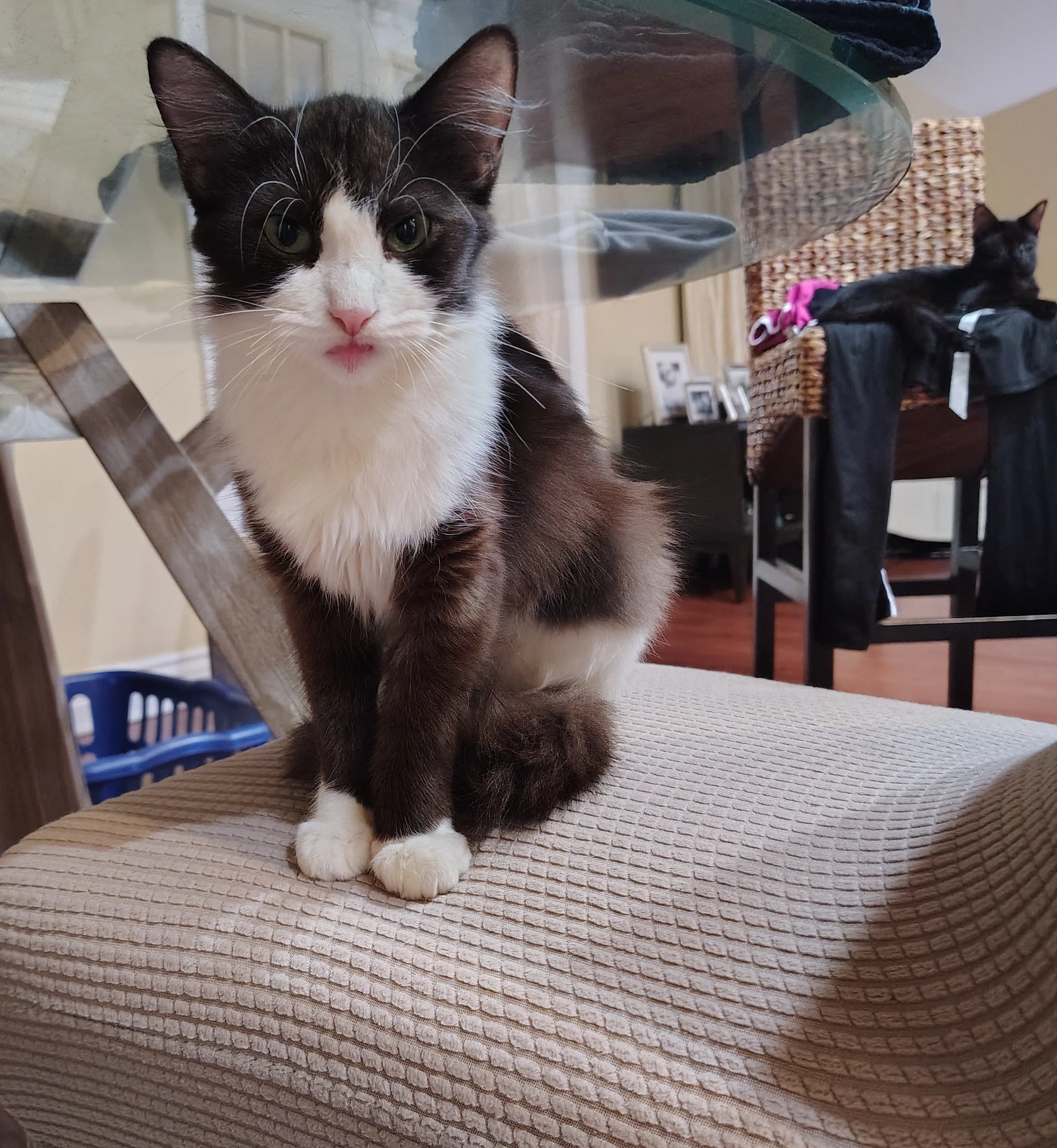 Suki  Med Waiver
