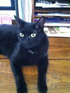 Kiki(MR)