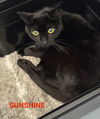 Sunshine 9.21.09