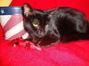 Sunshine 9.21.09